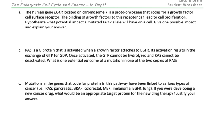 Hhmi cell cycle and cancer