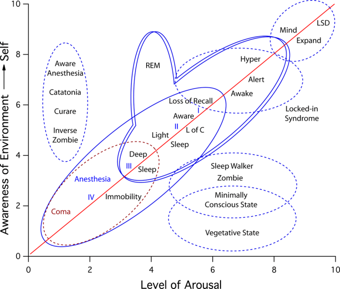 Ap psychology states of consciousness