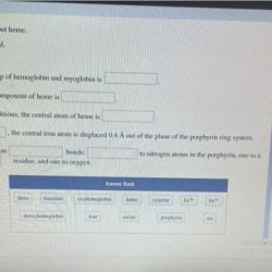 Predicate worksheets worksheet sentences freebie write verb chessmuseum subjects desalas