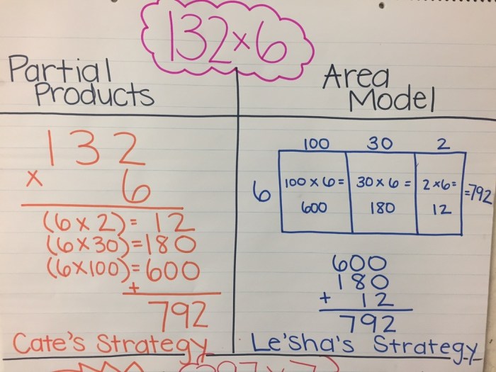 Area model and partial products