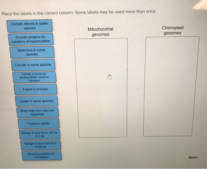 Place the labels in the correct column.