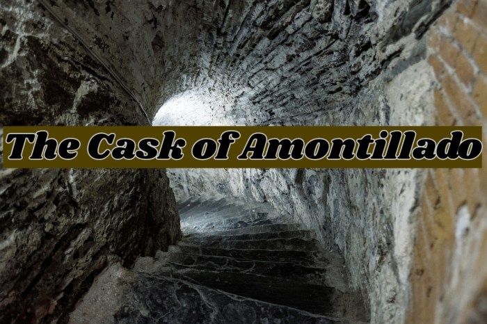 The cask of amontillado literary devices