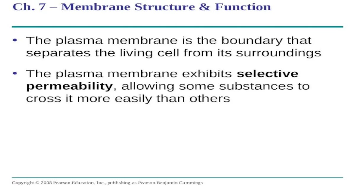 Ch 7 membrane structure and function