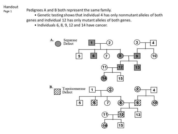 Pedigree charts worksheet answer key