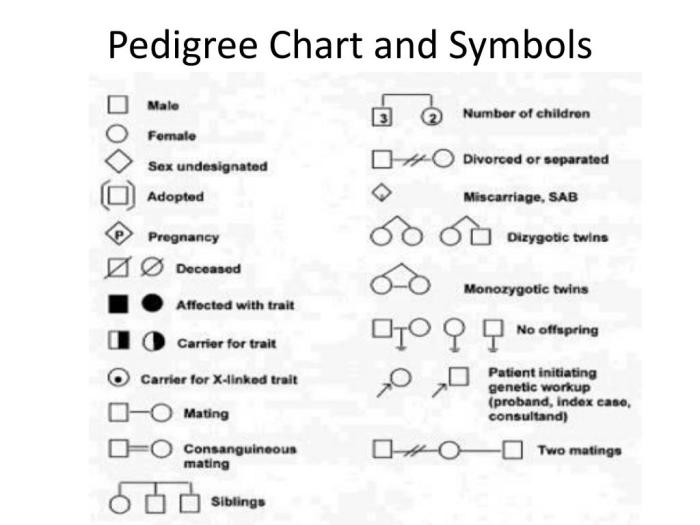 Pedigree charts worksheet answer key