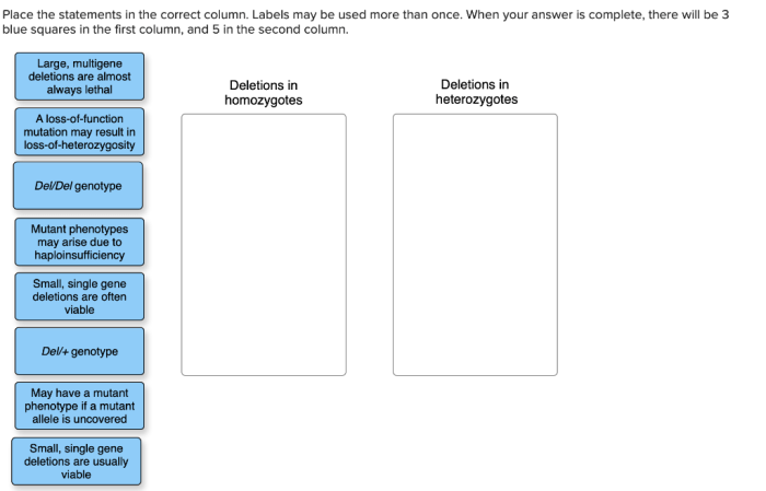 Place the labels in the correct column.