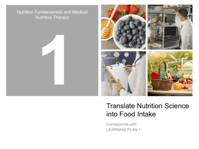 Chapter 19 nutritional concepts and related therapies