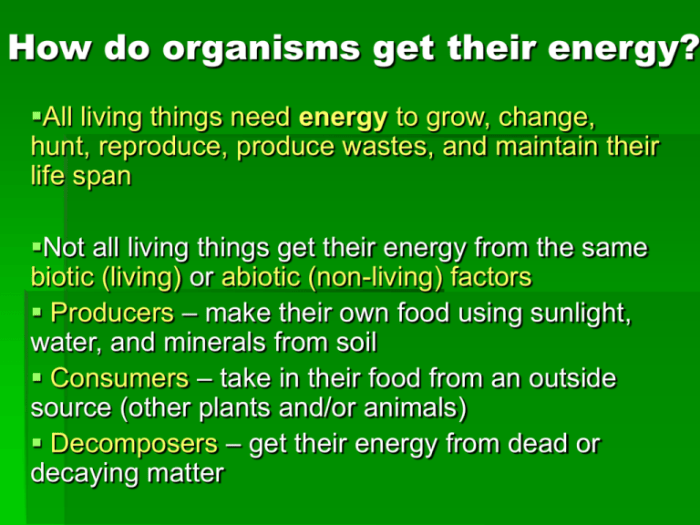 Living respiration photosynthesis things life clip energy diagram law animal second use thermodynamics cell science cellular gif characteristics biology clipart