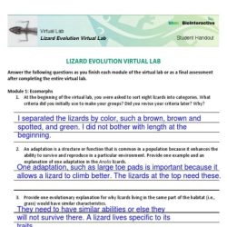 Gizmo student exploration natural selection answer key