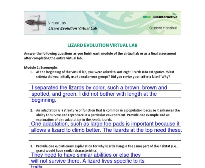 Gizmo student exploration natural selection answer key